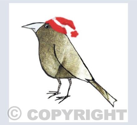 Bird in a hat 