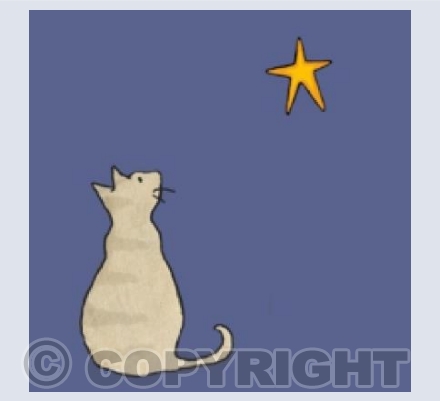 Star Gazing 
