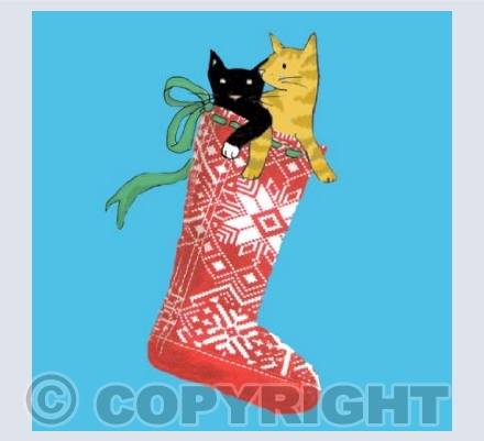 Stocking Cats