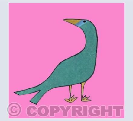 Thoughtful bird on pink