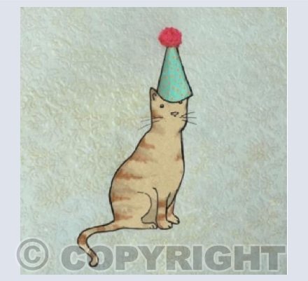 party hat cat pom pom 