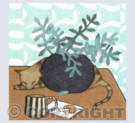 A cat and a cuppa