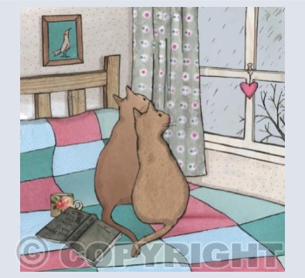 Watching Raindrops 