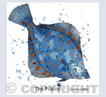 'The Plaice'