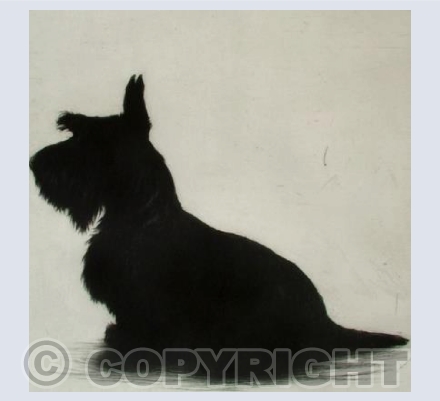 Bronte's Big Brother