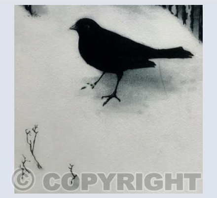 Snowbird II
