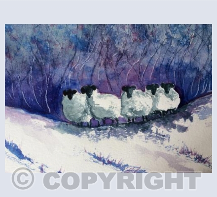Winter Sheep