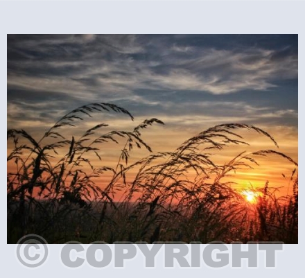 Sunset, Okeford Hill, Dorset