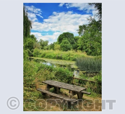 Picnic Bench