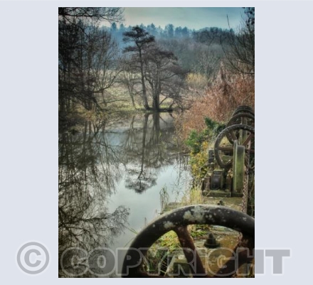 Fiddleford Mill Race 2