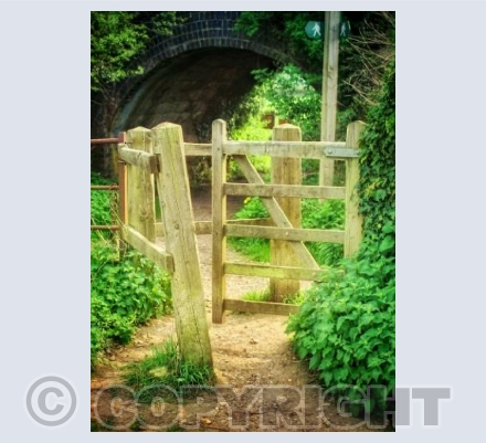 By the trailway