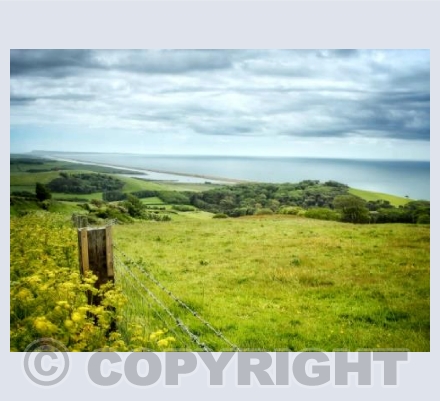 near Burton Bradstock