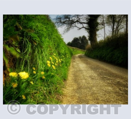 Stalbridge Lane S. N.