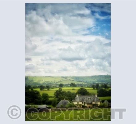 view from Piddles Wood 1