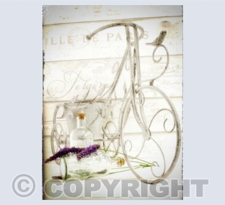 Lavender and Trike