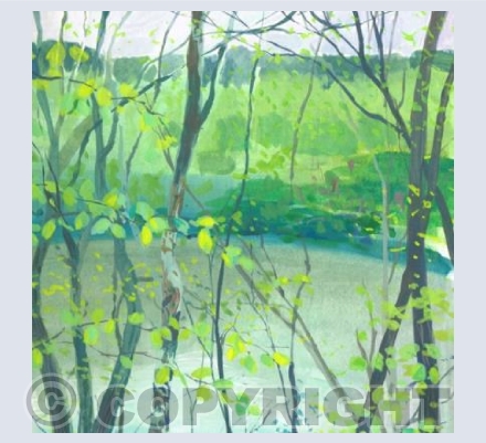 Through the Trees at Deep Hayes