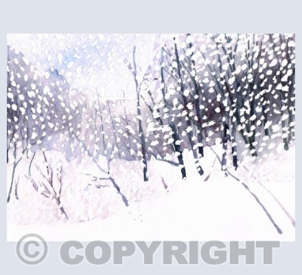 Quiet Snow