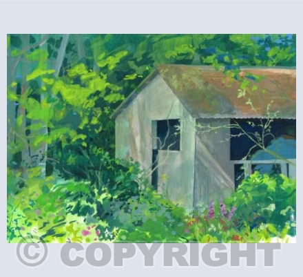 The Old Shed