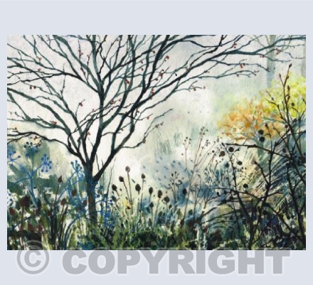 A Winter Garden