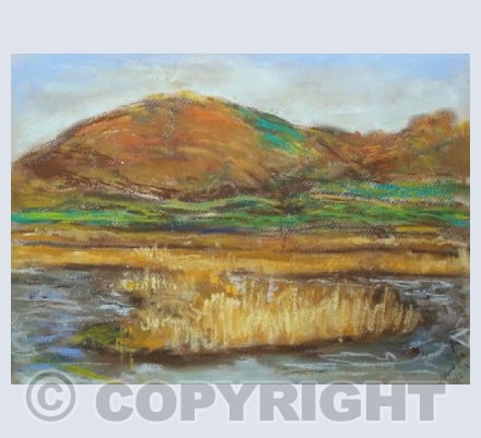 Winter view from Tower hide