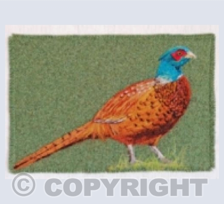 Needle Felted Pheasant 