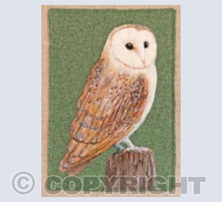 Needle Felted Barn Owl