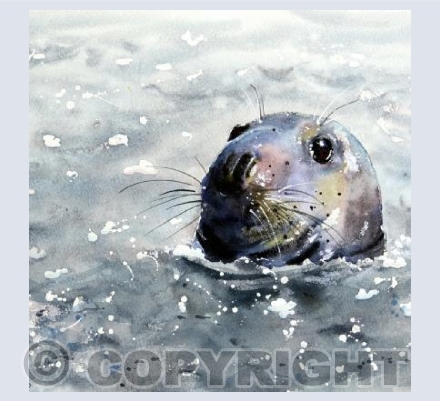"Keeping Afloat"