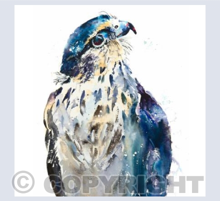 "Keeping An Eye On You"