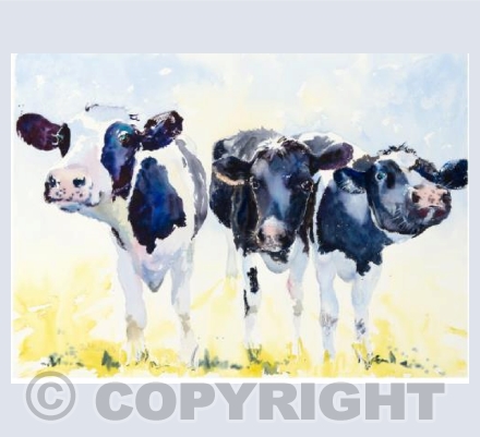 "All Girls Together"