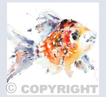 "Just Keep Swimming"