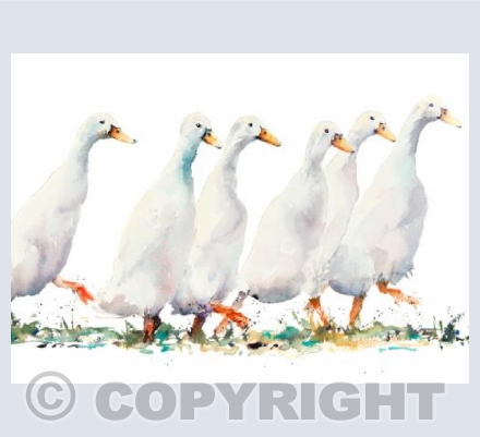 "Looking for Trouble"