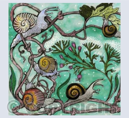 Snails