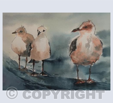 Into the wild blue yonder