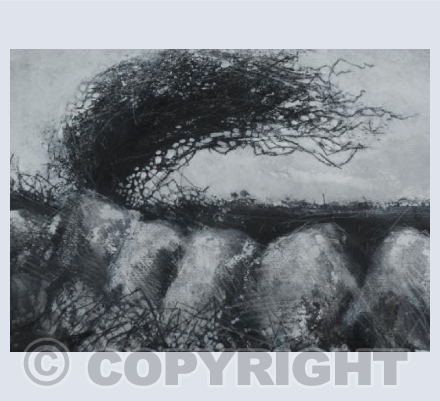 Haw and the old wall