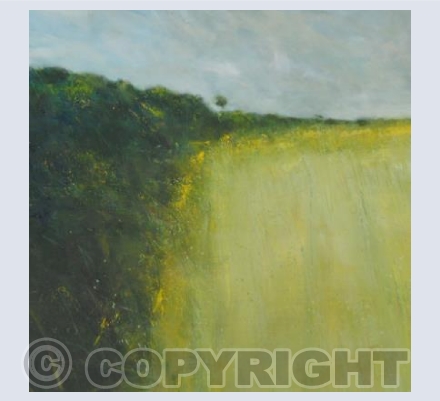 Flowers for the birds