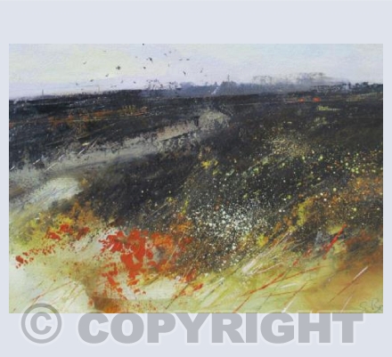 The birds, Sennen