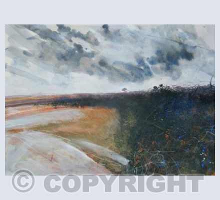 Picnic up on the moor