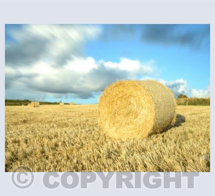 Countryside Magic