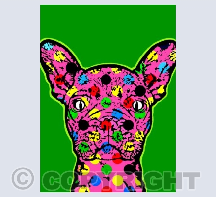Spotty Pug
