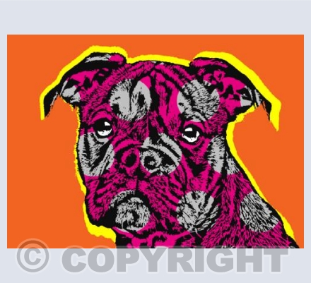 Butch.  Devon Dogs