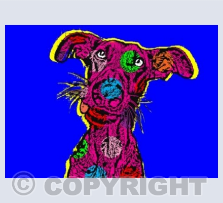 Loopy. Devon Dogs
