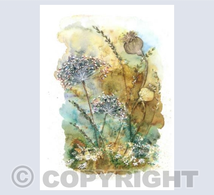 Dorset Hedgerow