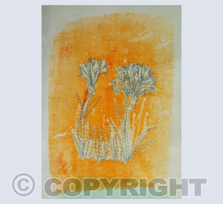 Detail 2 Cornflowers