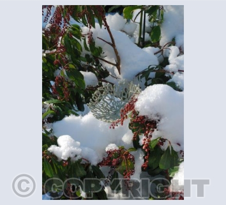 Poem vessel in the snow