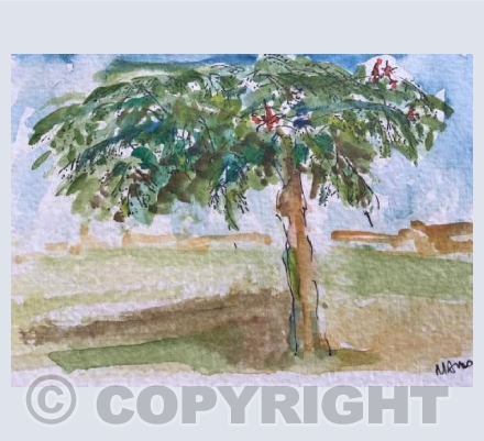 Flame tree