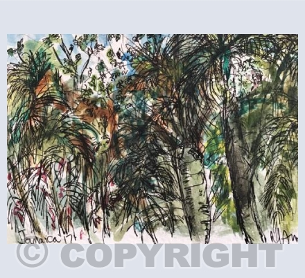 Tropical trees Jamaica