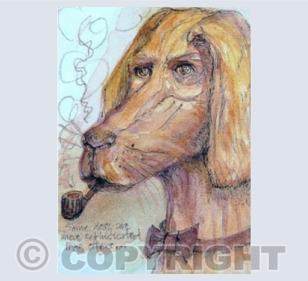 Some Dogs are More Sophisticated than Others