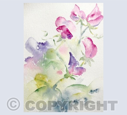 Sweet Peas 1
