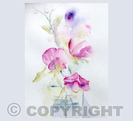 Sweet Peas 3