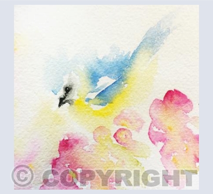 Blue tit and blossom